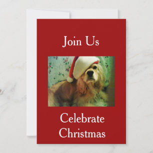 JOIN US TO CELEBRATE CHRISTMAS INVITATION