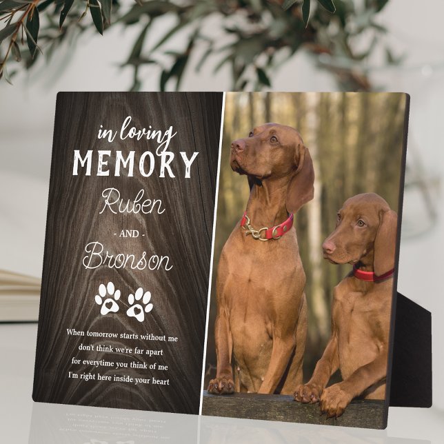 Joint Pet Memorial 2 Photo Plaque (Creator Uploaded)