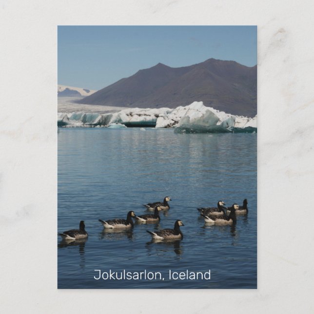 Jokulsarlon Iceland Postcard (Front)