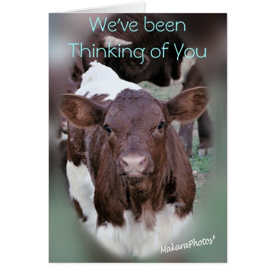 JolCrd-GetWell or Sympathy-customise Card
