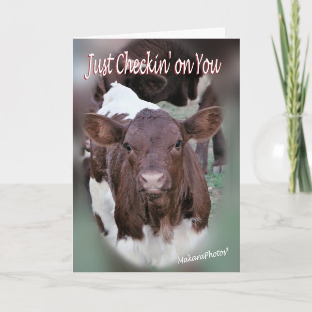 Jolee-Thinking of You-or other occasions-customise Card (Front)