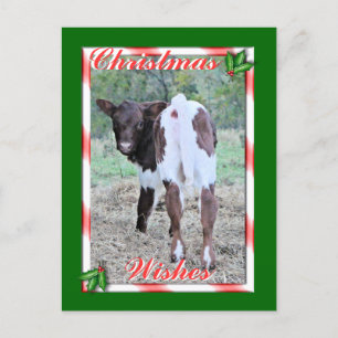 JoleeChristmasPcard-customise Holiday Postcard