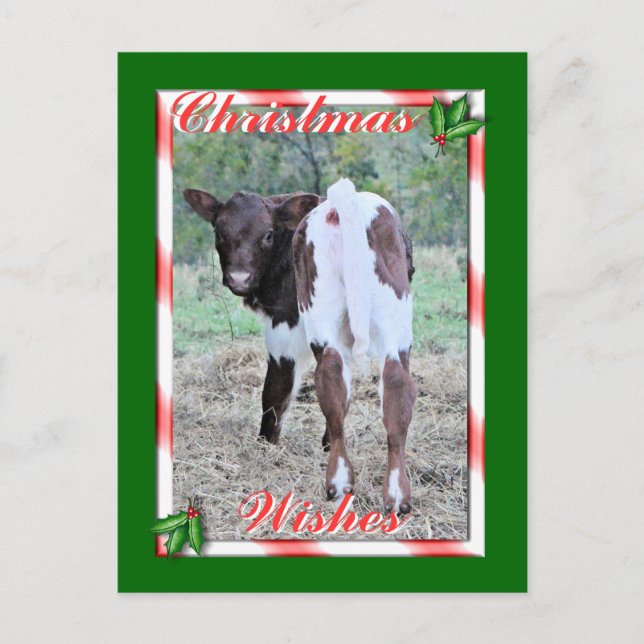 JoleeChristmasPcard-customise Holiday Postcard (Front)