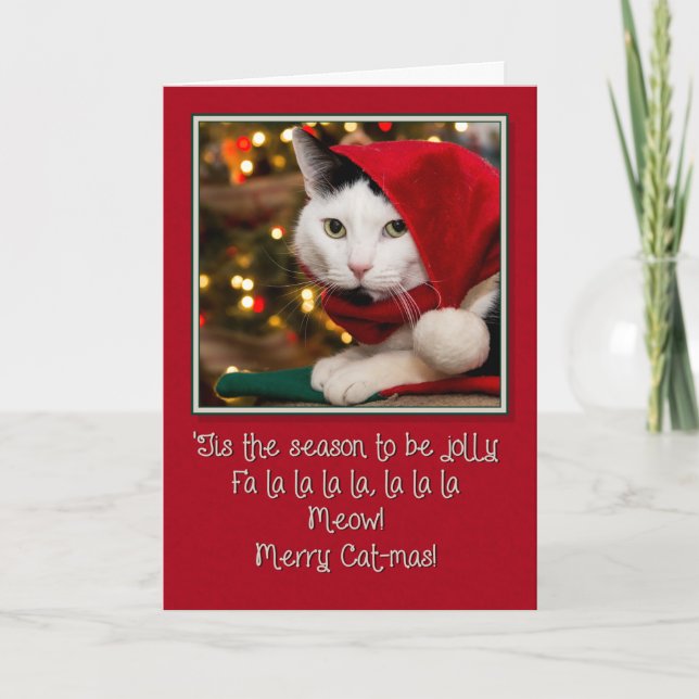 Jolly Cat-mas Holiday Card (Front)
