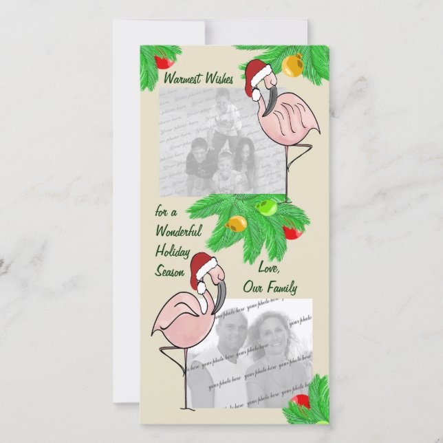 Jolly Flamingos/ Photo greeting card (Front)