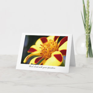 Jolly Jester Marigold - Luck with your operation Card