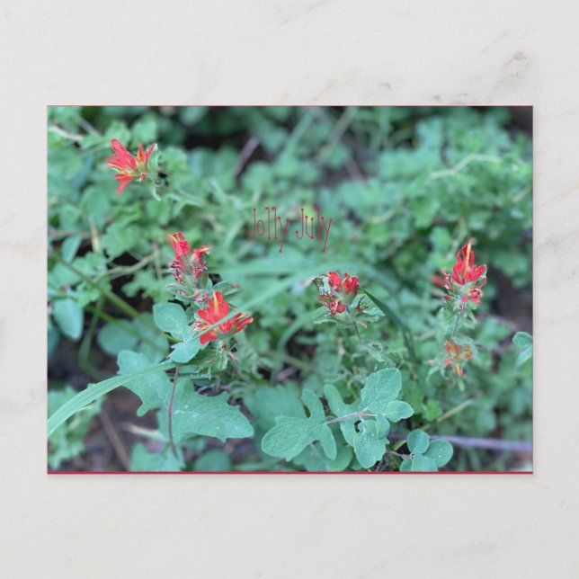 Jolly July Postcard (Front)