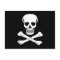 Jolly Roger Pirate Flag