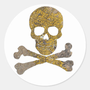 Jolly Roger Talking Canyons New Mexico Classic Round Sticker