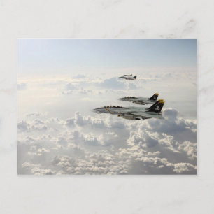 Jolly Rogers Postcard