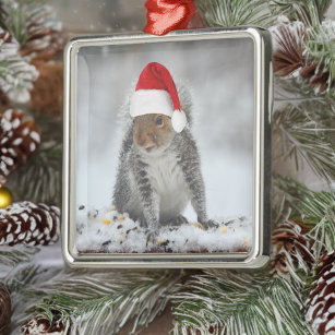 Jolly Squirrel with Santa Hat Square Ornament
