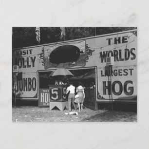 Jolly World's Largest Hog Vintage Carnival Photo Holiday Postcard
