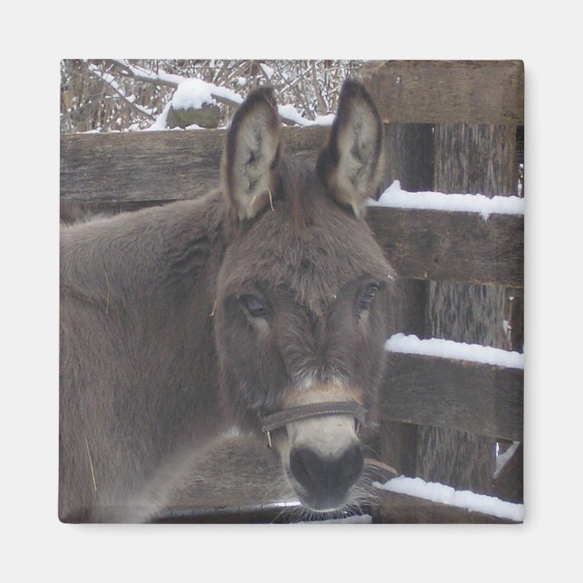 Jonathan Magnet (Front)