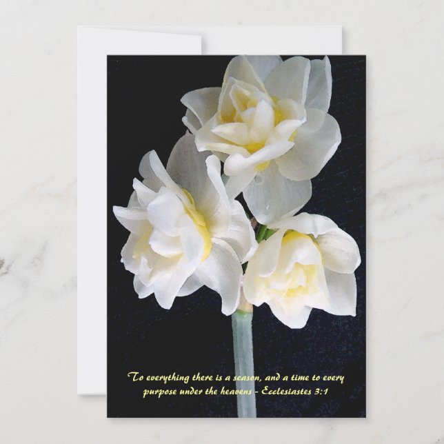 Jonquil Flower - Ecclesiastes 3:1 (Front)