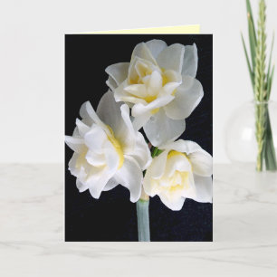 Jonquil Flower - Ecclesiastes 3:1 Card