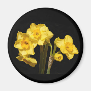 Jonquil Flowers Magnet