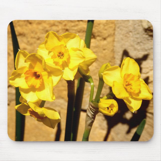 Jonquil Flowers Mouse Mat (Front)