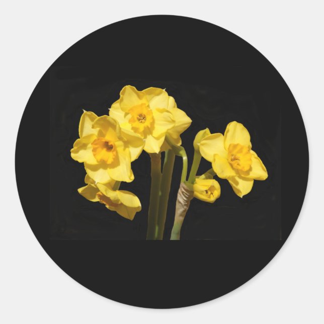 Jonquil Flowers Stickers (Front)