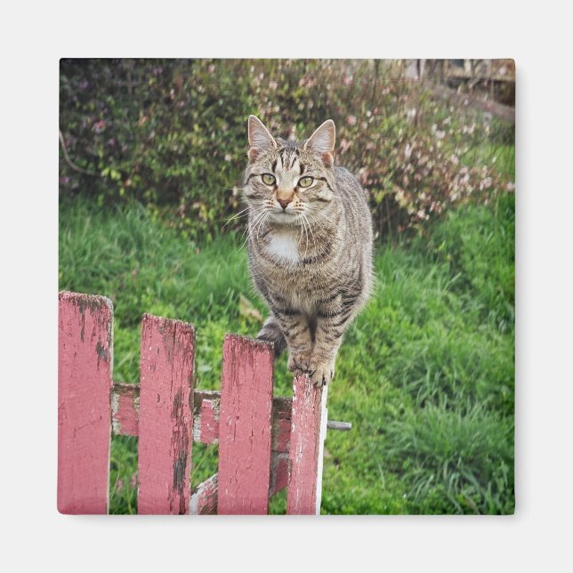 Jonty Bloom - 2 Inch Square Magnet (Front)
