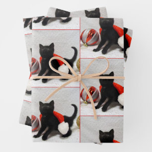 Joon The Rescue Kitten -  Christmas Wrapping Paper