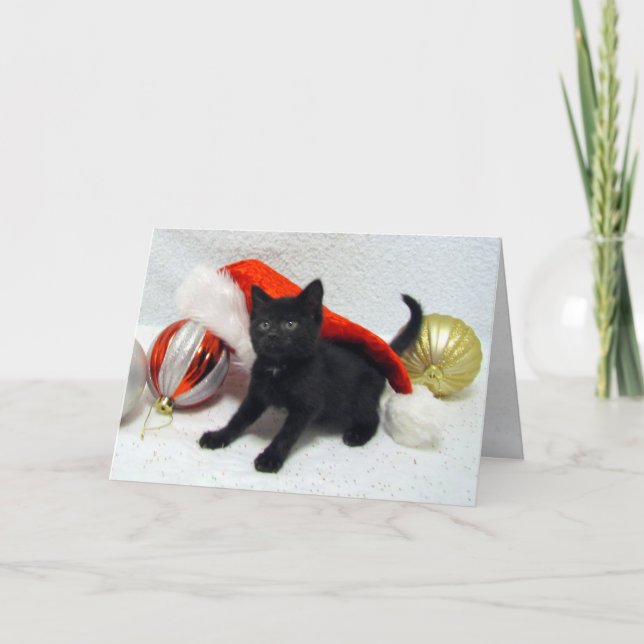 Joon's Christmas- Cat / Kitten - Folded Card (Front)