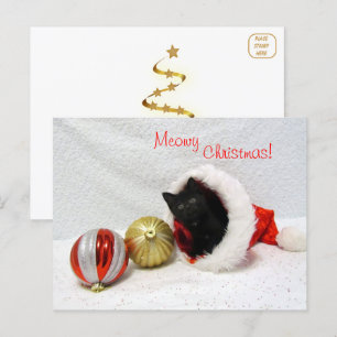 Joon's Christmas - Cat / Kitten Postcard