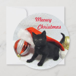 Joon's Round Christmas Card - Cute Cat Pic