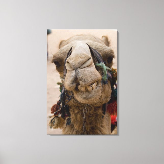 Jordan, Ancient Nabataean city of Petra Canvas Print (Front)