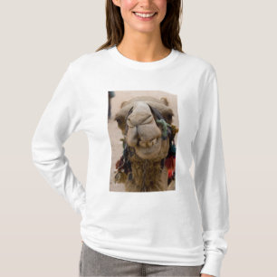 Jordan, Ancient Nabataean city of Petra T-Shirt