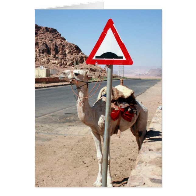 jordan camel stop (Front)