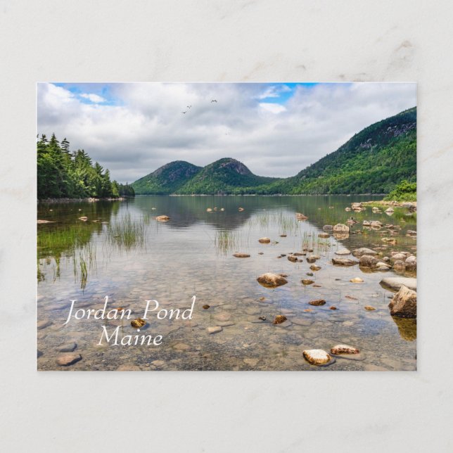 Jordan Pond in Acadia National Park in Maine Postcard (Front)
