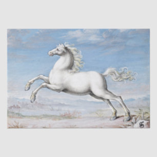 Joris Hoefnagel   White Horse - 1552 and 1601 Tissue Paper