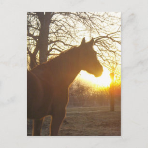 Jose benito postcard