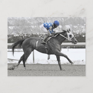 Jose Lezcano on Mo Flash Postcard