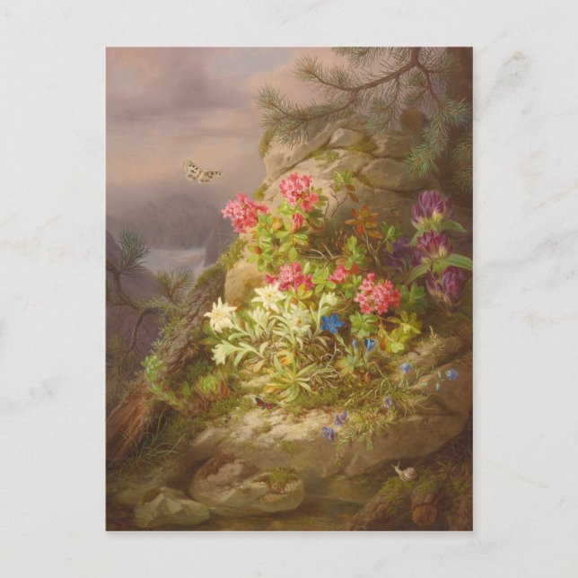 Josef Lauer Still-life with flowers and snail Postcard (Front)