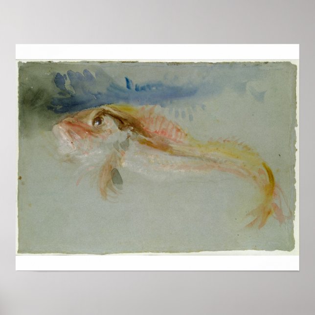Joseph Mallord William Turner | A Gurnard Poster (Front)