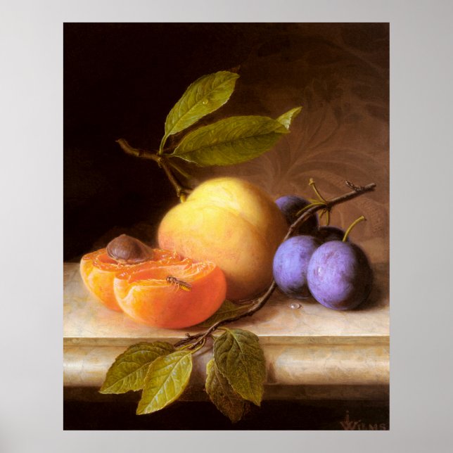 Joseph Peter Wilms - Peaches and Plums Poster (Front)