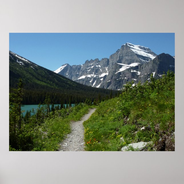 Josephine Lake Trail with Mount Guild at Glacier Poster (Front)