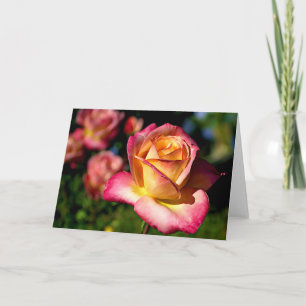 Joseph's Coat Rose Scripture Card Isaiah 26:3