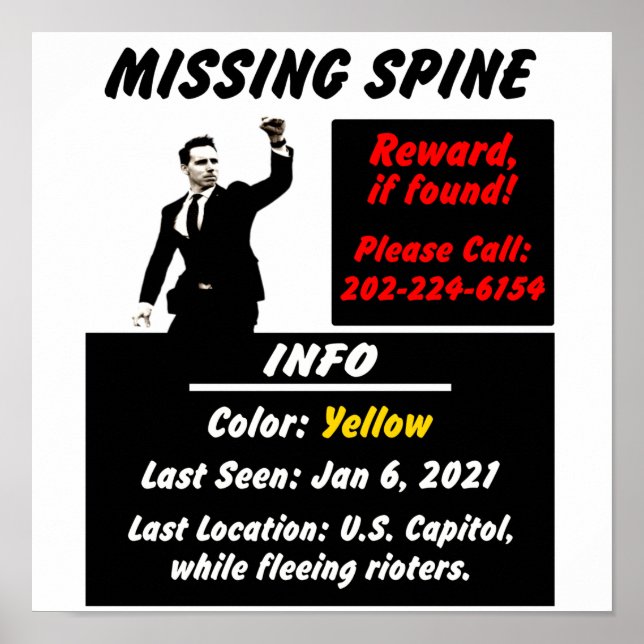 Josh Hawley Missing Spine Blk Design Poster (Front)