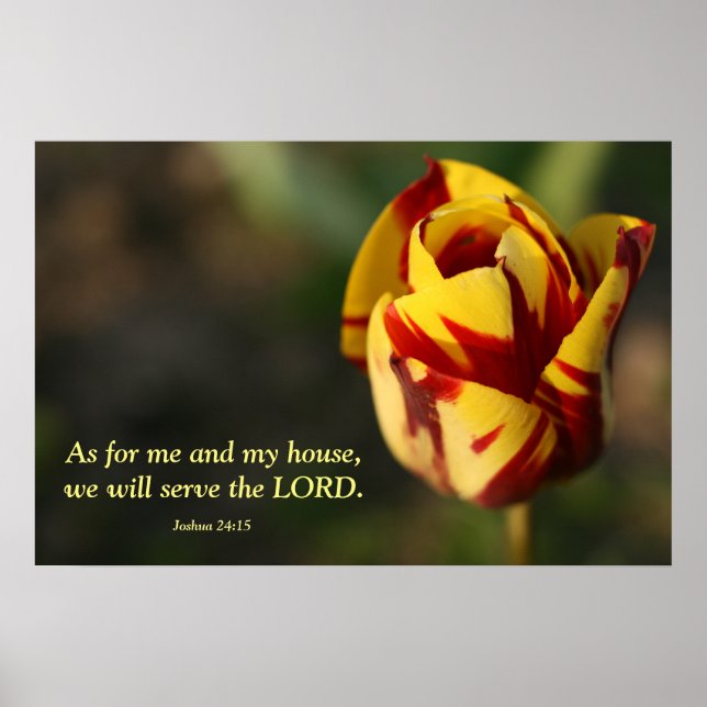 Joshua 24:15 Red and Yellow Tulip Poster (Front)