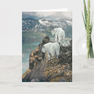 Joshua Spies Note Card