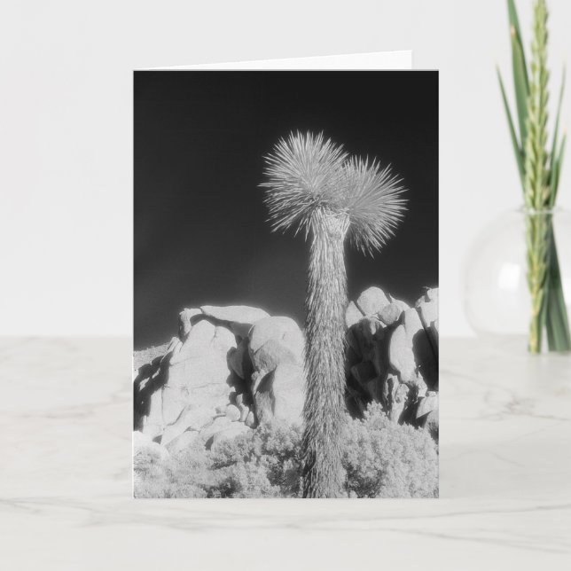 Joshua Tree #1 Card (Front)
