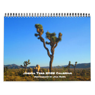 Joshua Tree 2022 By Julia Hanna Calendar