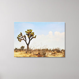 Joshua Tree Cactus Desert Photographic Art Canvas Print