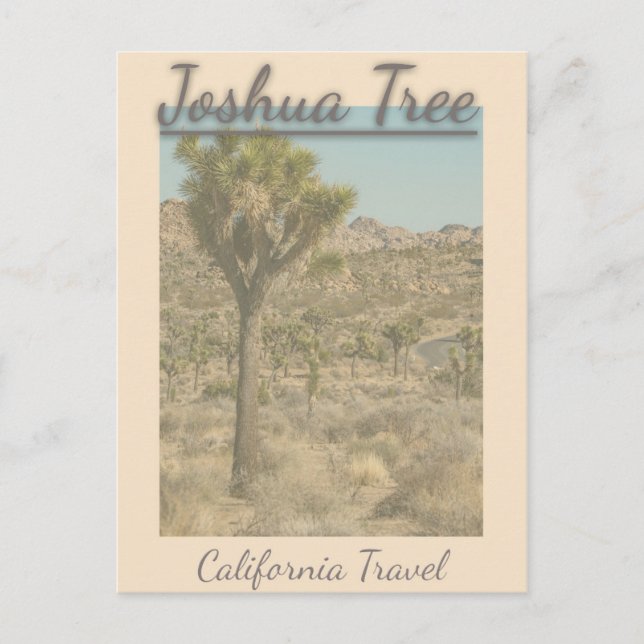 Joshua Tree California Vintage Travel  Postcard (Front)