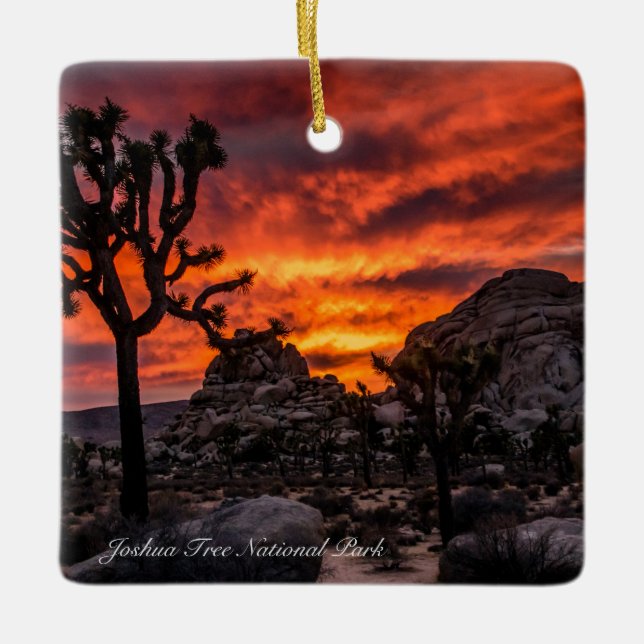 Joshua Tree Ceramic Ornament (Front)