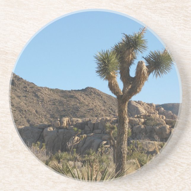 Joshua Tree Coaster (Front)