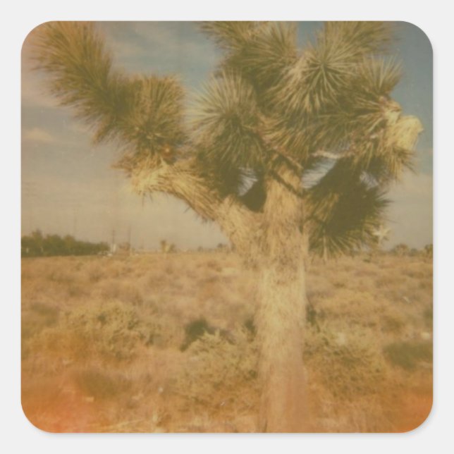 Joshua Tree Decorated Square Sticker (Front)