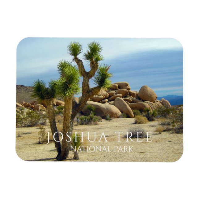 Joshua Tree, Giant Boulders, Desert Magnet (Horizontal)